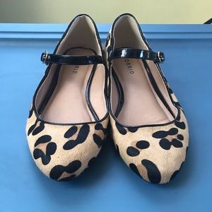 Torrid Leopard Flats